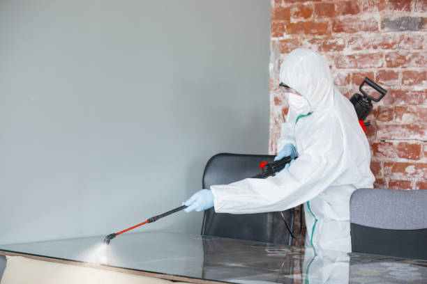 Why You Should Choose Our Mold Remediation Services in Milan, NM